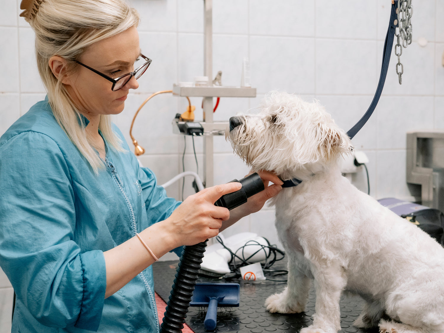 Pet Spa -hemmotteluhoidot