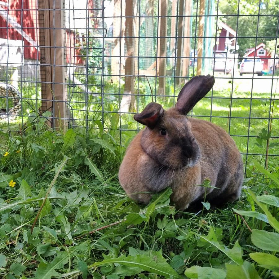 WhatsApp Image 2026-01-08 at 13.38.48.jpeg__PID:0642a8c1-80ac-4aac-9b29-7aaf1ce35035