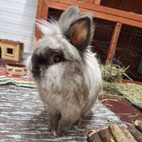 WhatsApp Image 2026-01-08 at 13.40.03.jpeg__PID:a8c180ac-5aac-4b29-baaf-1ce350358273