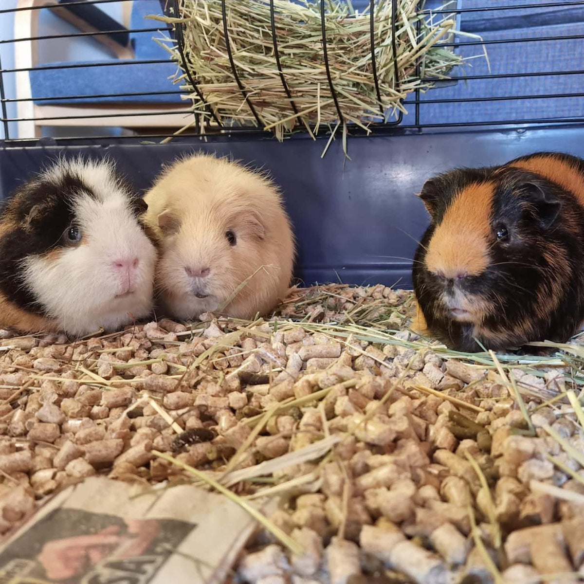 WhatsApp Image 2026-01-08 at 13.40.18.jpeg__PID:80ac5aac-5b29-4aaf-9ce3-50358273e707