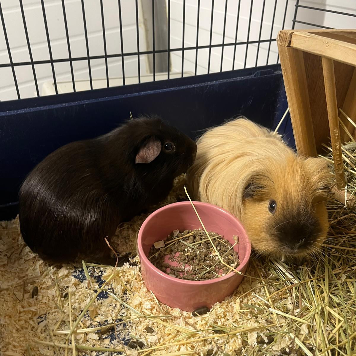 WhatsApp Image 2026-01-08 at 13.40.25.jpeg__PID:ac5aac5b-297a-4f1c-a350-358273e70725