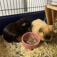 WhatsApp Image 2026-01-08 at 13.40.25.jpeg__PID:ac5aac5b-297a-4f1c-a350-358273e70725